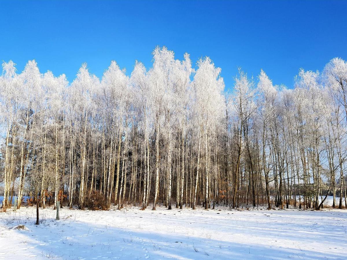 Willa Reglowka Stylowy Dom Pachnacy Ogrod Wola Krakowianska Экстерьер фото